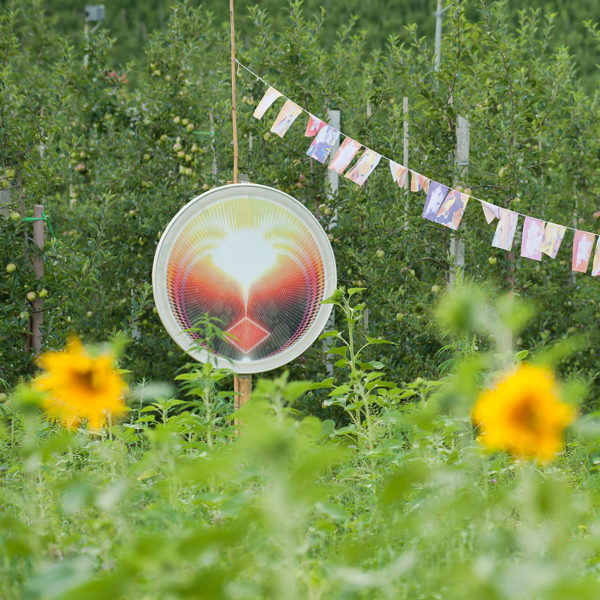 Lichtscheibe Aranda – Bild 15