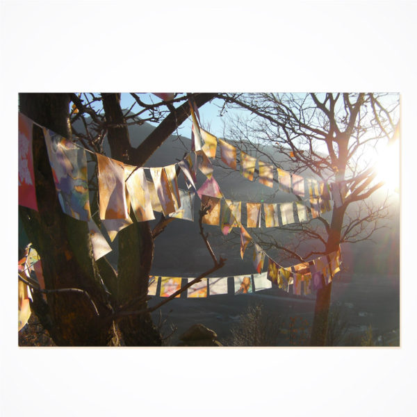 WorldPeaceProject Friedensgirlande – Bild 12